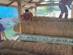 Inovasi Lapas Tulungagung: Melahirkan Alas Sapi Unggulan Bersama BBIB Singosari