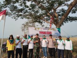 Panen Raya di Pebayuran: Sinergi TNI, Muspika, HKTI, dan IKAL DKI Dorong Ketahanan Pangan