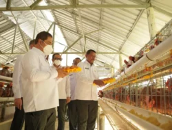 Menteri Imigrasi dan Pemasyarakatan Lakukan Kunjungan Kerja pada Sarana Asimilasi Edukasi L’Sima Ngajum, Kontribusi Nyata Pemasyarakatan Jawa Timur !