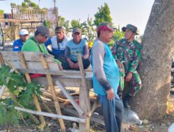 Sinergi TNI dan Petani, Babinsa Kertajaya Ajangsana di Tengah Lahan Sawah
