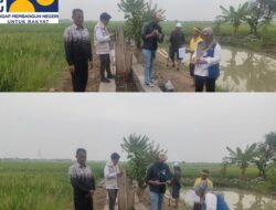 Ki Jaga Kali : P3A Hadir di 53 Titik, Petani Bekasi Rasakan Perhatian Wakil Ketua Komisi V DPR