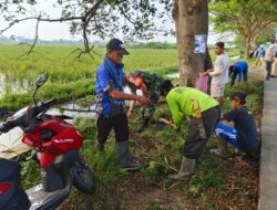 TNI Bersama Warga Basmi Rumput Liar