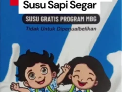 Program MBG Jadi Lokomotif Kebangkitan Susu Segar Nasional