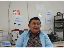 Program MBG, Angkat Gizi Anak Sekaligus Peternak Lokal