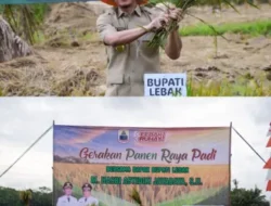 Presiden Prabowo Tetapkan Indonesia Swasembada Pangan, Lebak Ikut Panen Raya Nasional