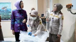 Perkuat Pengawasan Pangan dari Timur Indonesia: BGN Sambangi Balai Besar Karantina Sulawesi Selatan