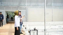Teknologi Smart Greenhouse BRIN Dorong Ketahanan Pangan Untuk Sukseskan Program MBG