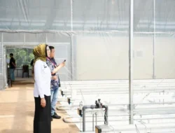 Teknologi Smart Greenhouse BRIN Dorong Ketahanan Pangan Untuk Sukseskan Program MBG