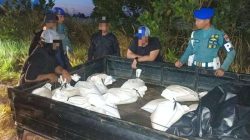 Timah Ilegal Kembali Terbongkar, TNI AL Kejar Pelaku yang Kabur di Pangkalpinang