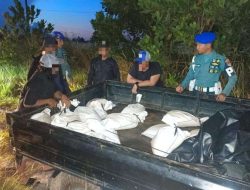 Timah Ilegal Kembali Terbongkar, TNI AL Kejar Pelaku yang Kabur di Pangkalpinang