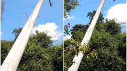 Setiap Hari Dilintasi Warga, Tiang Listrik Condong Belum Diperbaiki