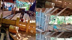 Warga Ungkap Dugaan Sawmill Ilegal di Desa Pancaroba, Minta Polres Kubu Raya dan Polda Kalbar Turun Tangan