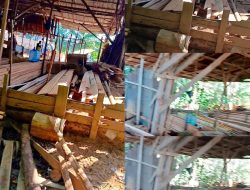 Warga Ungkap Dugaan Sawmill Ilegal di Desa Pancaroba, Minta Polres Kubu Raya dan Polda Kalbar Turun Tangan