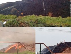 Kebakaran Tumpukan Tangkos di PT BPG Kubu Raya, Warga Mengaku Sudah Lama Mengingatkan