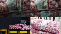 Dugaan Gudang Bawang Putih Ilegal Milik Bos Berinisial Asiong Mencuat, Disperindag dan APH Didesak Bertindak