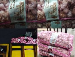 Dugaan Gudang Bawang Putih Ilegal Milik Bos Berinisial Asiong Mencuat, Disperindag dan APH Didesak Bertindak