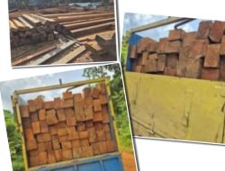Eko Bantah Kayu yang Diberitakan Miliknya, Kanit Intel Sandai: Saya Tak Pernah Dikonfirmasi