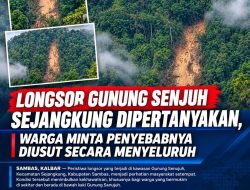 Gunung Senujuh Longsor, Masyarakat Desak Pemeriksaan Lapangan dan Penelusuran Dugaan Penebangan Liar