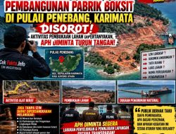 Pembangunan Pabrik Boksit Di Pulau Penebang, Karima Terpantau, Adanya Aktifitas Pembukaan Lahan Dipertanyakan dan Patut , APH Di Minta Turun Tangan Dan Ambil Tindakan Tegas, Terukur!!