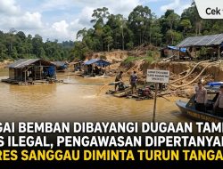 Sungai Bemban Dibayangi Dugaan Tambang Emas Ilegal, Pengawasan Dipertanyakan, Polres Sanggau Diminta Turun Tangan