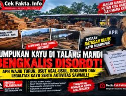 OTT Ditemukan Tumpukan Kayu Di Talang Mandi Bengkalis Ratusan Kubik Dan Lebih Dari Lima Titik Sawmill: APH Ambil Sikap!!