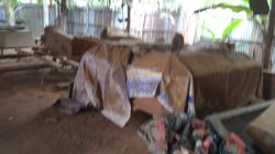 Diduga Belum Kantongi NIB: Usaha Pembuatan Peti Mati Di Sungai Pangkalan Disorot, Asal usul Kayu Ulin dan Bengkirai Diminta Terbuka!