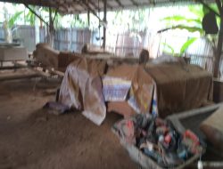 Diduga Belum Kantongi NIB: Usaha Pembuatan Peti Mati Di Sungai Pangkalan Disorot, Asal usul Kayu Ulin dan Bengkirai Diminta Terbuka!